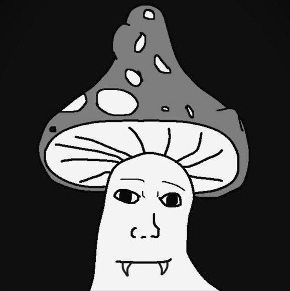 xaviernokko